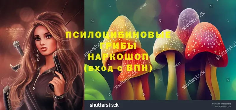 omg зеркало  Поронайск  Псилоцибиновые грибы MAGIC MUSHROOMS  купить наркотик 